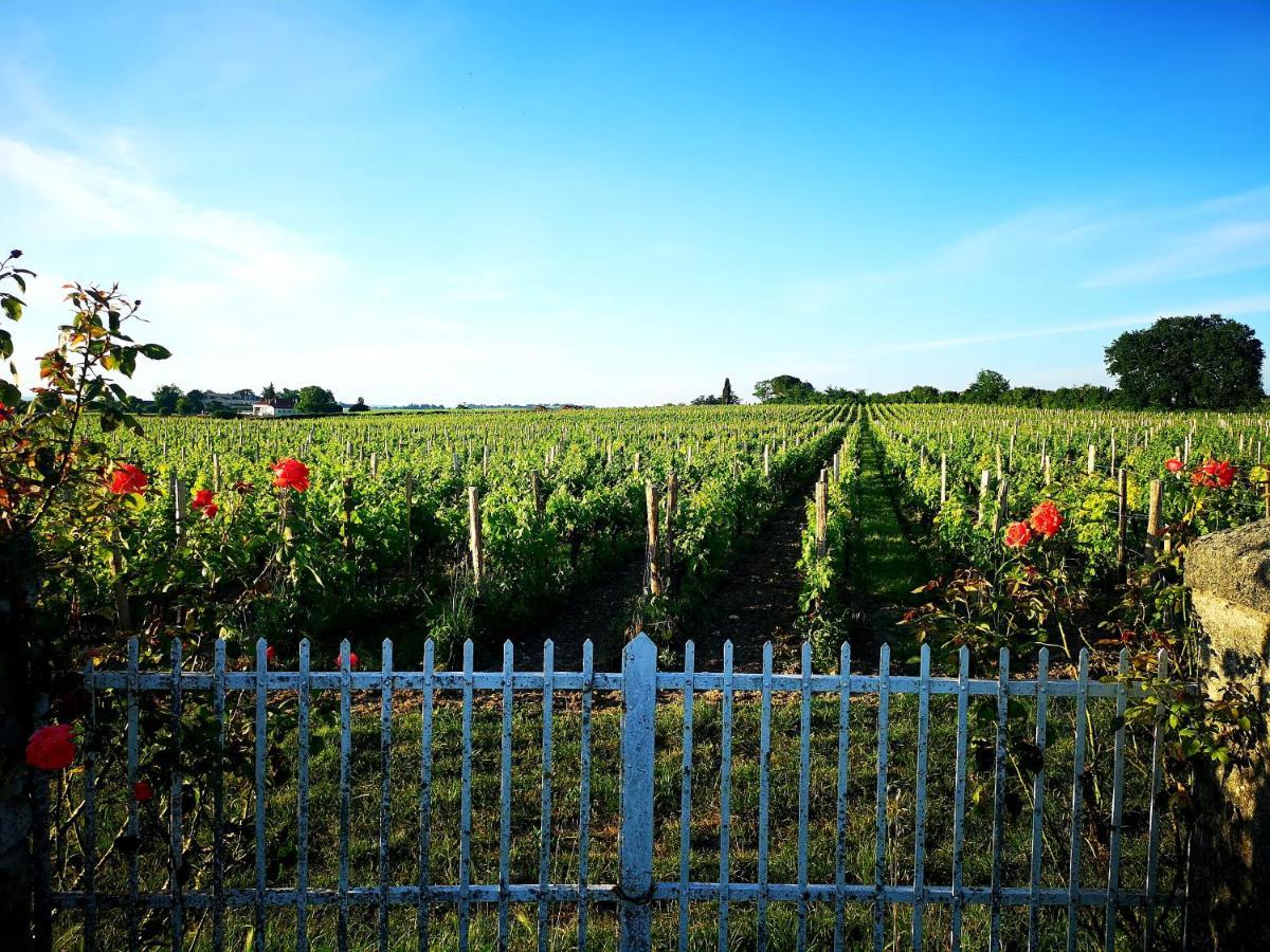 La Maison Des Vignes Saint Emilion Apartment Екстериор снимка