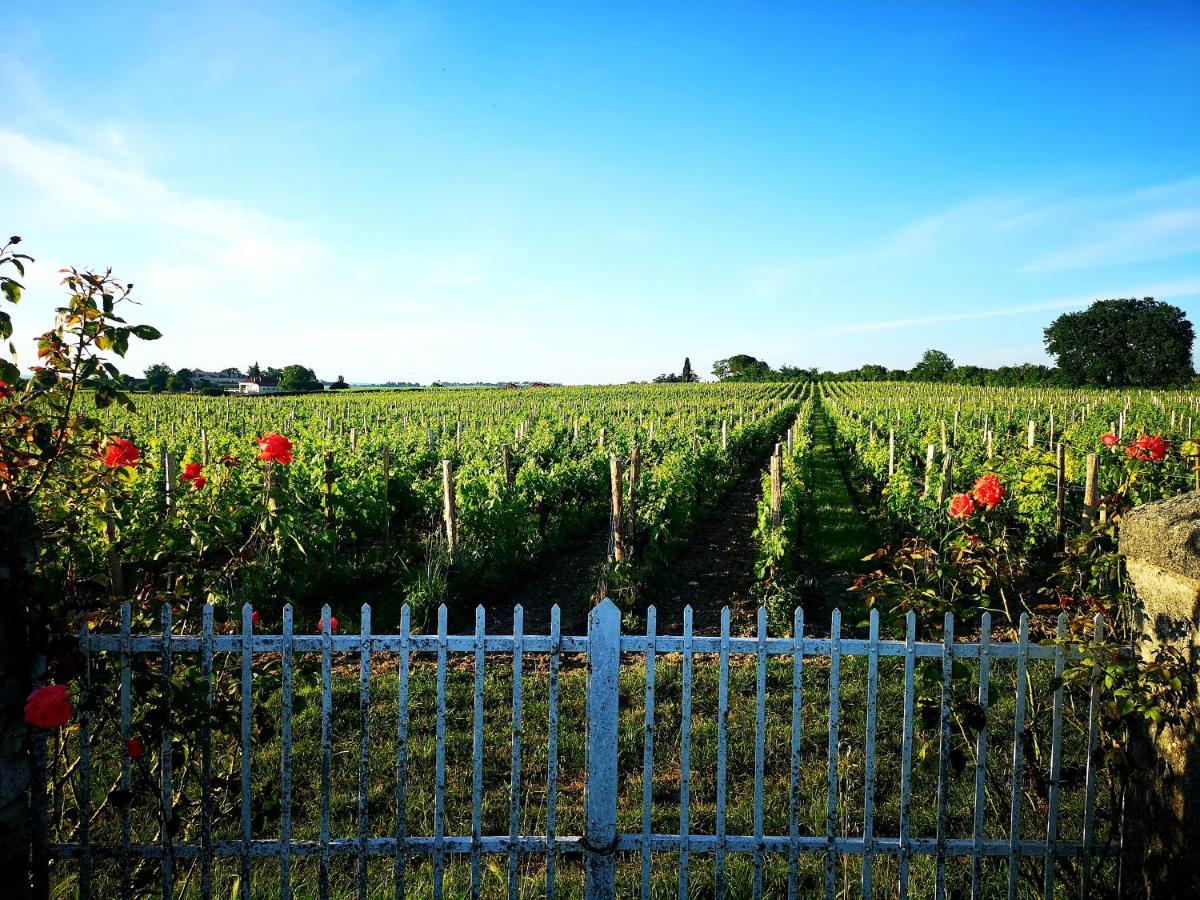 La Maison Des Vignes Saint Emilion Екстериор снимка